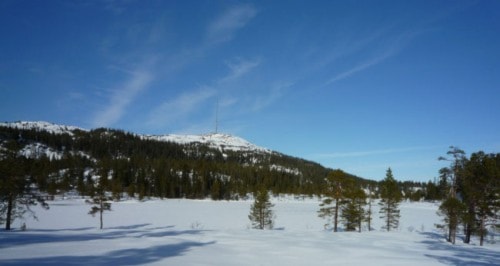 Månedens trimpost januar og månedens trimpost februar